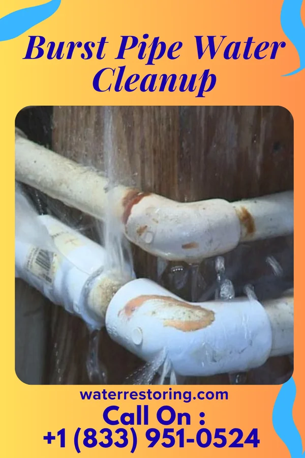 Burst Pipe Water Cleanup in Reynolds Heights, PA
