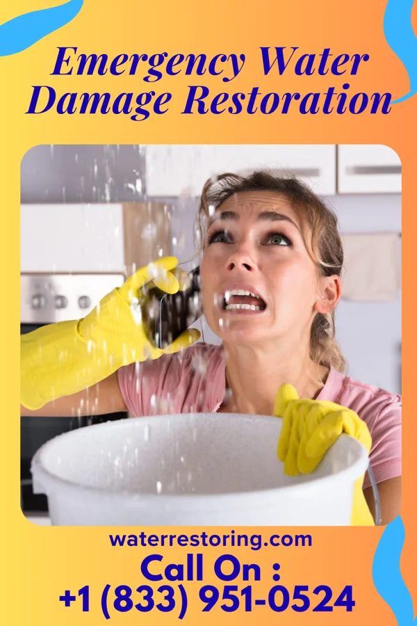 Emergency Water Damage Restoration in Reynolds Heights, PA