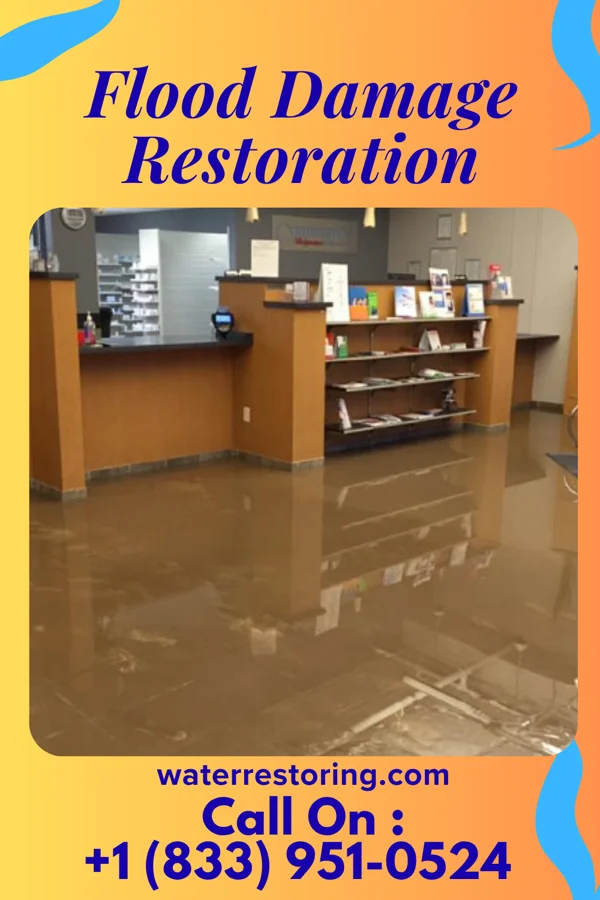 Flood Damage Restoration in Reynolds Heights, PA