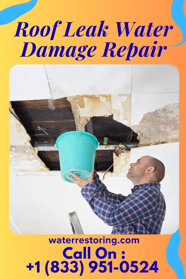 Roof Leak Water Damage Repair in Reynolds Heights, PA
