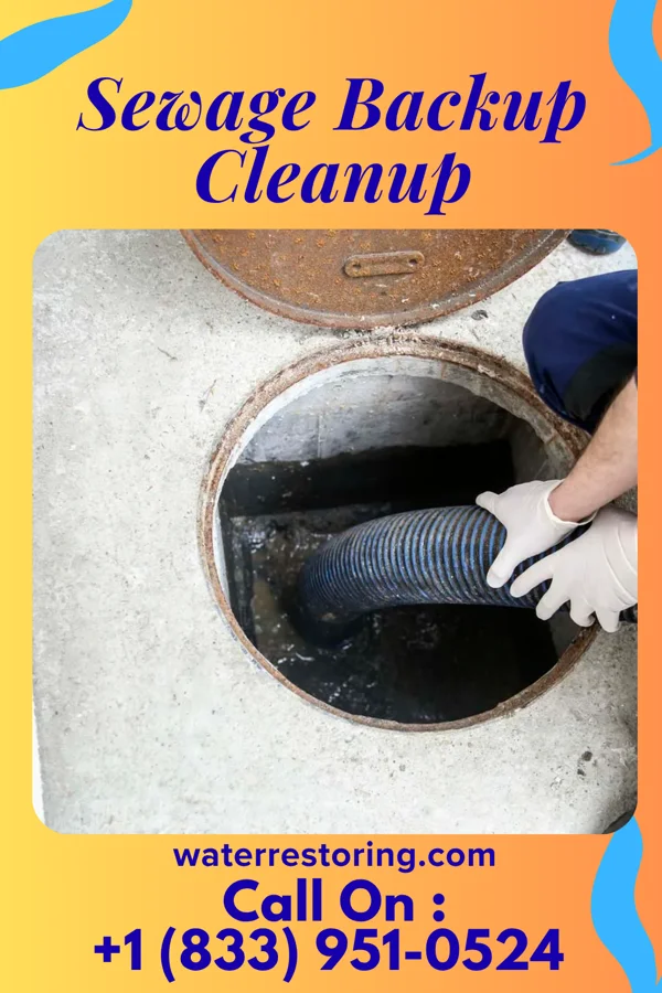 Sewage Backup Cleanup in Reynolds Heights, PA