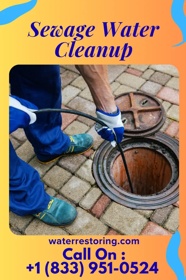 Sewage Water Cleanup in Reynolds Heights, PA